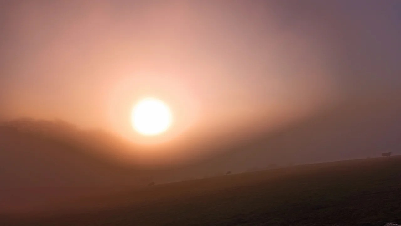 Reconnecting, Soul Journey, Shamanic Healing, Shamanism,, Shaman, Gudrun C Fritz