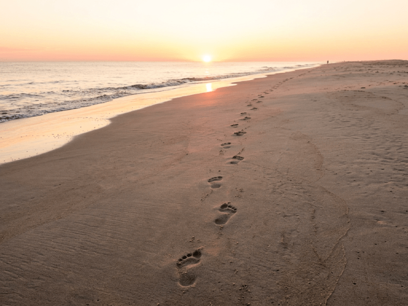 Discovering Your True Self Beyond&nbsp;Survival