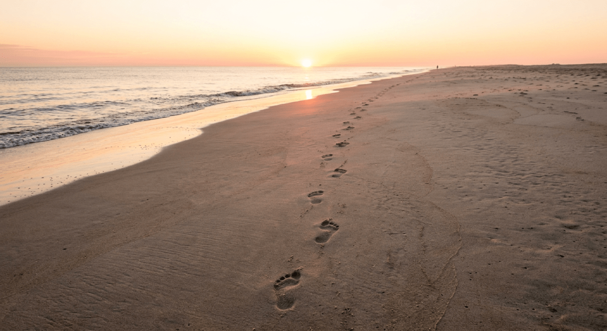 Discovering Your True Self Beyond&nbsp;Survival